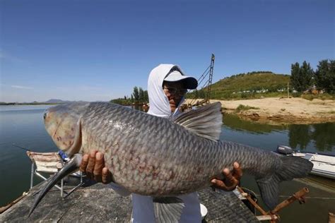 夢到釣到大魚|夢到釣到大魚什麼意思 是好兆頭嗎